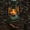 A lantern sitting on top of a stump in the woods